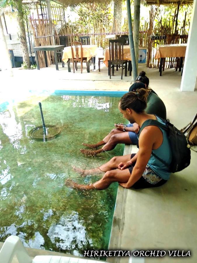 Hiriketiya Orchid Villa Dikwella Ngoại thất bức ảnh